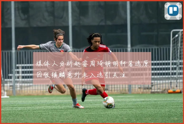 媒体人分析赵睿周琦胡明轩落选原因张镇麟意外未入选引关注